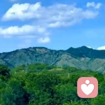 风轻云淡的头像