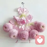 愿每一个女神🌹
​都做自己的女王👸
好好爱自己❤️