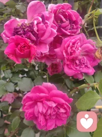 盛夏即将告别😔
毕业不是落幕🌹
而是下一站浪漫启程🌹
愿我的少年们未来继续闪闪发光👏配图