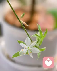 早安🌹做一个自律的人☀️
当你使劲踮起脚尖
靠近太阳的时候
全世界都挡不住你的光☀️
