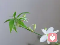 早安🌹做一个自律的人☀️
当你使劲踮起脚尖
靠近太阳的时候
全世界都挡不住你的光☀️