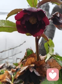 你不急不缓刚刚好配图