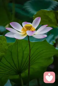 憋在心里会内耗，说出来是救赎，放过自己从倾诉开始。配图