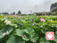 此时此刻没人陪你，你如果无聊想找人聊天，我在这里陪你配图