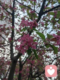 工作只是生活的一部分，不是全部，别让它偷走你的快乐。配图