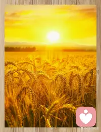 春暖花开，静待美好配图