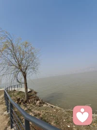 虽然生长环境不好，但仍然把根深深扎下，不管风浪再大，也要活出自己独有的风骨。宁愿孤独也要精彩。配图