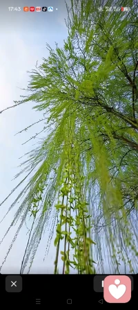 1. 夜渐深，城市睡了，我在清醒里，与灵魂对谈。
 夜晚是生活给予的留白，用来安放疲惫，也孕育希望。
3.在这寂静的夜，往事如星，在回忆里闪烁，而我在寻自己的光。配图