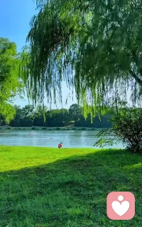 这是一个需要谨慎、客观且富有同理心来回应的敏感话题。根据现有研究与权威文献，乱伦（指直系亲属或三代以内旁系血亲之间的性行为）并非由某类“特定人群”天生倾向所致，而是多种风险因素在特定家庭系统、社会环境与个体心理交互作用下的结果。需强调：这些因素描述的是统计关联与风险提示，绝非对任何群体的污名化或归因判定。

综合多项研究资料，以下几类情境中，乱伦发生的风险相对更高（注意：是“风险升高”，不等于“必然发生”）：

1. 家庭结构与功能严重失衡的家庭
- 父母长期缺位（如母亲长期夜班、父亲独处照料青春期女儿）、婚姻关系疏离或破裂，导致亲子边界模糊、情感替代现象增多 ；
- 家庭暴力、酗酒、精神健康问题未被干预，使权力结构扭曲、儿童保护机制失效 ；
- 继亲家庭中，若缺乏清晰角色界定与外部支持，继父母与继子女间的边界可能被无意侵蚀 。
2. 社会经济与教育支持薄弱的群体
- 部分研究指出，较低社会经济地位、教育资源匮乏、性教育缺失的家庭中，对身体界限、 consent（知情同意）、家庭伦理的认知可能更易受传统权威压制或信息遮蔽影响 ；
- 但这并非因果关系——大量低收入家庭同样拥有健康亲密关系；相反，高隐蔽性、强控制型的乱伦个案也常见于表面“体面”的中产及以上家庭 。
3. 存在代际创伤或教养模式断裂的家庭
- 父母自身童年经历忽视、虐待或边界混乱，可能无意识复刻相似模式（即“创伤代际传递”），尤其当缺乏觉察与心理支持时 ；
- 家庭中长期缺乏情绪表达训练、冲突解决机制，使压抑的情感以扭曲方式释放 。
4. 文化语境与制度支持缺位的环境
- 在性教育普遍缺位、举报渠道不畅、受害者羞耻感被强化的社会氛围中，已发生的侵害更难被识别与干预，客观上延长了持续时间 ；
- 法律执行力度弱、社区支持网络缺失，也可能降低行为约束力 。

需要特别强调三点：
乱伦的本质是权力滥用与边界侵犯，而非“情感”或“欲望”的自然表达。所有涉及未成年人的案例，均属法定意义上的性侵害，与双方“是否自愿”无关。
受害者永远无责。任何将原因归结于孩子“早熟”“诱惑”或“不反抗”的说法，都是错误且有害的二次伤害。
预防的关键在于系统性建设：包括普及科学性教育、强化儿童身体自主权认知、完善家庭支持服务、畅通司法与心理援助通道——而非聚焦“谁容易出问题”。配图