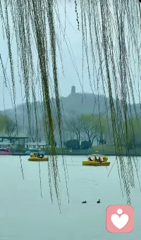 这是一个需要谨慎、客观且富有同理心来回应的敏感话题。根据现有研究与权威文献，乱伦（指直系亲属或三代以内旁系血亲之间的性行为）并非由某类“特定人群”天生倾向所致，而是多种风险因素在特定家庭系统、社会环境与个体心理交互作用下的结果。需强调：这些因素描述的是统计关联与风险提示，绝非对任何群体的污名化或归因判定。

综合多项研究资料，以下几类情境中，乱伦发生的风险相对更高（注意：是“风险升高”，不等于“必然发生”）：

1. 家庭结构与功能严重失衡的家庭
- 父母长期缺位（如母亲长期夜班、父亲独处照料青春期女儿）、婚姻关系疏离或破裂，导致亲子边界模糊、情感替代现象增多 ；
- 家庭暴力、酗酒、精神健康问题未被干预，使权力结构扭曲、儿童保护机制失效 ；
- 继亲家庭中，若缺乏清晰角色界定与外部支持，继父母与继子女间的边界可能被无意侵蚀 。
2. 社会经济与教育支持薄弱的群体
- 部分研究指出，较低社会经济地位、教育资源匮乏、性教育缺失的家庭中，对身体界限、 consent（知情同意）、家庭伦理的认知可能更易受传统权威压制或信息遮蔽影响 ；
- 但这并非因果关系——大量低收入家庭同样拥有健康亲密关系；相反，高隐蔽性、强控制型的乱伦个案也常见于表面“体面”的中产及以上家庭 。
3. 存在代际创伤或教养模式断裂的家庭
- 父母自身童年经历忽视、虐待或边界混乱，可能无意识复刻相似模式（即“创伤代际传递”），尤其当缺乏觉察与心理支持时 ；
- 家庭中长期缺乏情绪表达训练、冲突解决机制，使压抑的情感以扭曲方式释放 。
4. 文化语境与制度支持缺位的环境
- 在性教育普遍缺位、举报渠道不畅、受害者羞耻感被强化的社会氛围中，已发生的侵害更难被识别与干预，客观上延长了持续时间 ；
- 法律执行力度弱、社区支持网络缺失，也可能降低行为约束力 。

需要特别强调三点：
乱伦的本质是权力滥用与边界侵犯，而非“情感”或“欲望”的自然表达。所有涉及未成年人的案例，均属法定意义上的性侵害，与双方“是否自愿”无关。
受害者永远无责。任何将原因归结于孩子“早熟”“诱惑”或“不反抗”的说法，都是错误且有害的二次伤害。
预防的关键在于系统性建设：包括普及科学性教育、强化儿童身体自主权认知、完善家庭支持服务、畅通司法与心理援助通道——而非聚焦“谁容易出问题”。配图