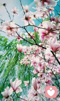 四月第一天，愿你心中有爱，眼里有光，愿所有美好如约而至。