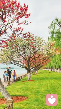 四月第一天，愿你心中有爱，眼里有光，愿所有美好如约而至。