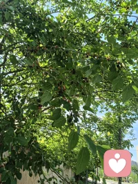人到中年，才会发现，人生其实有很多东西是，可有可无，可去可留的，一生很短，其实没有什么大彻大悟，无非是步步错步步悟，边走边悟，能够治愈你的，从来都不是时间，而是你心里的那份执着与释怀。配图