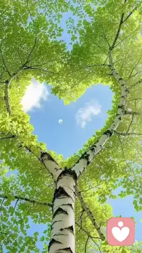 早安😊🌹🌞
人生没有捷径，
接纳所有得失，
与岁月温柔相拥，
才能在平凡里扎稳脚跟。配图