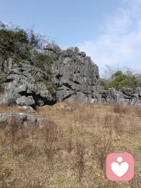 总有一场风雪，惊艳了岁月，总有一场遇见，不寒流年配图