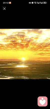 如果焦虑就把阳光当滤镜吧！配图