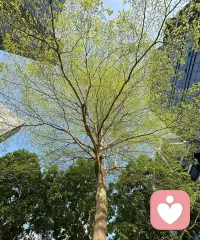 可以的话好好努力的托举自己吧！配图