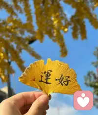 倾听—安慰—不评判—暖心  
能聊：工作压力—感情烦恼—孤独 、失眠—日常吐槽—鼓励、打气
绝对不聊：色情、擦边—涉政、敏感—借米—隐私信息配图