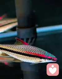 情趣价值可以是任何美好事物带来的。配图