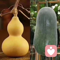 人活一世，各有各的苦，是利益也是合作。