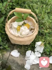 没有人规定一朵花非要长成向日葵或玫瑰。