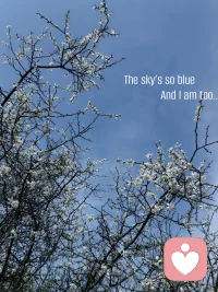 一生中你唯一需要回头的时候，是为了看自己到底走了多远，山前山后各有忧愁，有风无风都不自由，你相信吗？日子永远是崭新的，就在你醒悟的那个夜晚……配图