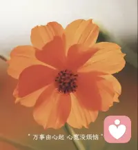 别着急，看不开就是问题，看的开就是答案配图