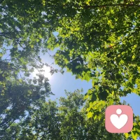 世界就是一个巨大的事与愿违，失去和得到永远是相互存在的，慢慢走，会好的。配图