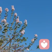 早安。你的限量版一天开始了，对自己说你可以的，希望我们都会越来越好。配图