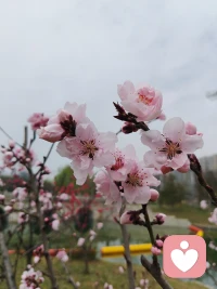 把自己活成一道光，因为你不知道，谁会借着你的光，走出了黑暗。 请保持心中的善良，因为你不知道，谁会借着你的善良，走出了绝望。配图