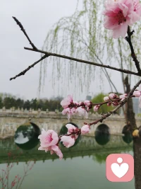 把自己活成一道光，因为你不知道，谁会借着你的光，走出了黑暗。 请保持心中的善良，因为你不知道，谁会借着你的善良，走出了绝望。配图