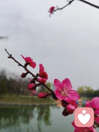 把自己活成一道光，因为你不知道，谁会借着你的光，走出了黑暗。 请保持心中的善良，因为你不知道，谁会借着你的善良，走出了绝望。配图