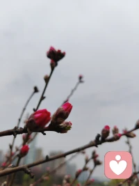 把自己活成一道光，因为你不知道，谁会借着你的光，走出了黑暗。 请保持心中的善良，因为你不知道，谁会借着你的善良，走出了绝望。配图