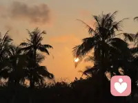 愿你乘风破浪，光芒万丈！配图