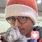 窗台上的猫的头像