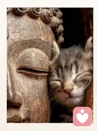 心理咨询或情绪倾诉，只能起到缓解作用，一回到生活，该存在的问题还存在，该烦恼还是烦恼，该痛苦还是痛苦，该矛盾还是矛盾，该畏惧还是畏惧，该纠结还是纠结，该委屈还是委屈，该窝囊还是窝囊…

那如何才能从根本解决问题呢？好的老师一定是先从取回全面的健康着手（正所谓医道通天道）！老师也一定是全程走完亲身实践过的，一定是实践派，而非理论派、学院派、证书派！不然如何去答疑解惑，根治问题呢？配图