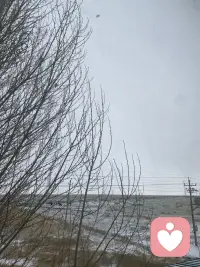 早安呀，今日又看见雪❄️啦配图