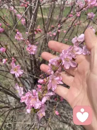 人在很多环境下会显象