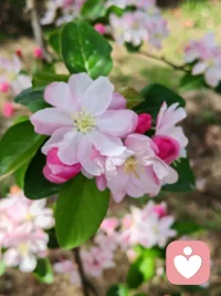 人的脆弱和坚强都超乎自己的想象，
有时我可能脆弱得一句话就流眼泪，
有时候发现自己咬着牙走了很长的路。
生命其实也是这样，
其脆弱和坚强都超乎自己的想象！配图