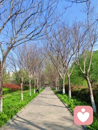 能量低的时候，去学习，去成长，去读书，去晒太阳，去靠近高能量的人，去做一切补充能量的事，这是补充。也可以接纳正处在低能量状态里的你，允许这份低能量的发生，这是暂停。但决不是被低能量的状态抓住，让自己深陷低能的深渊里痛苦，这是消耗。配图