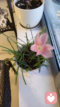 没有准备话术，只想和你聊聊天