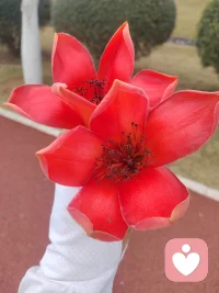 有些情绪，不必说给谁听。
风会带走疲惫，夜会包容脆弱，
天亮之后，依然带着温柔，认真生活。
我们都在悄悄长大，悄悄坚强，
也在悄悄，等着那个懂自己的瞬间。
心若有光，再平凡的日子，也会慢慢发亮。配图