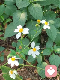 你是我穷极一生也没做完的梦，而我是你一念之间就吹过的风。配图