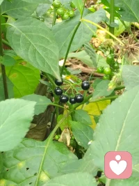 不苛责自己，不勉强结果，把能做的都做到，剩下的交给时间。配图