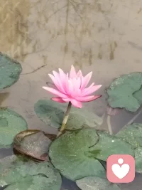 做自己就好，何须内耗配图