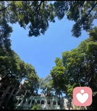 其实就是小事，偏偏就是这小事，像吃进去的馒头快无毒无味就是噎人。不过没关系，大树会拥抱每个抬头的人。