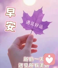 早上好！愿大家都被世界温柔以待！配图