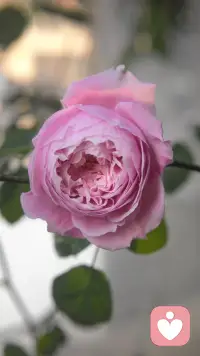 这里很安全，你可以放心诉说一切