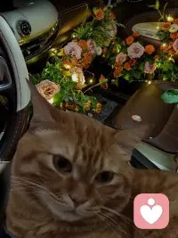 今天阳光明媚，天气很好，我的心情也很好，我在开心的等待今天的第1位来访者