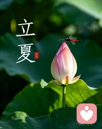 别太焦虑了，人生不必事事都强求完美。
眼下的烦恼只是暂时的，别给自己太大压力，也别胡思乱想消耗自己。
允许自己慢一点、停一停，接纳当下的情绪，放过紧绷的自己。
很多事时间会给出答案，稳住心态，好好爱自己。
你已经很努力了，放宽心，一切都会慢慢变好，往后皆是安稳与温柔。